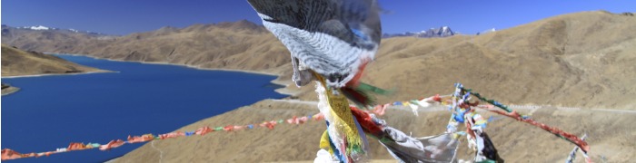Tibet