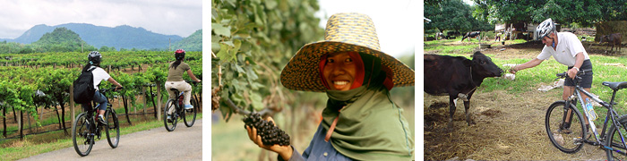 Khao Yai Wine Trails