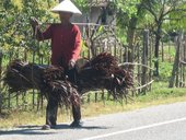 Cambodia Adventure